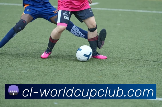 App Interface Preview